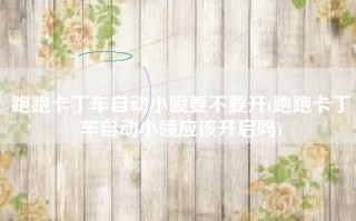 跑跑卡丁车自动小喷要不要开(跑跑卡丁车自动小喷应该开启吗)