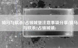 骑马与砍杀2占领城堡注意事项分享(骑马与砍杀2占领城镇)