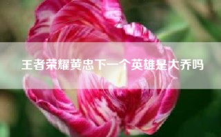 王者荣耀黄忠下一个英雄是大乔吗