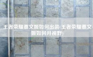 王者荣耀蔡文姬如何出装(王者荣耀蔡文姬如何开视野)