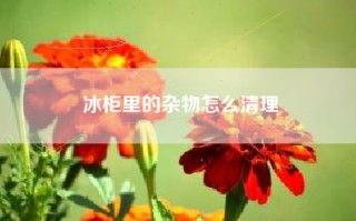 冰柜里的杂物怎么清理
