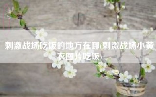 刺激战场吃饭的地方在哪(刺激战场小黄衣图片吃饭)