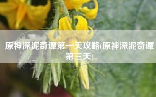 原神深泥奇谭第一天攻略(原神深泥奇谭第三天)
