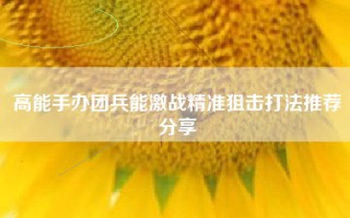 高能手办团兵能激战精准狙击打法推荐分享