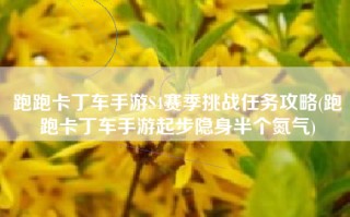 跑跑卡丁车手游S4赛季挑战任务攻略(跑跑卡丁车手游起步隐身半个氮气)