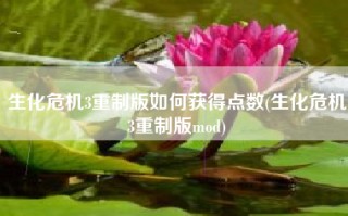 生化危机3重制版如何获得点数(生化危机3重制版mod)