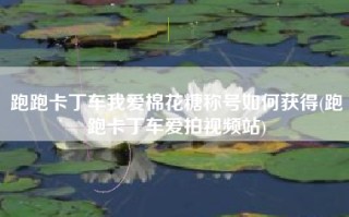 跑跑卡丁车我爱棉花糖称号如何获得(跑跑卡丁车爱拍视频站)