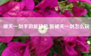破天一剑手游能挂机,新破天一剑怎么玩