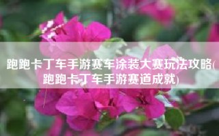 跑跑卡丁车手游赛车涂装大赛玩法攻略(跑跑卡丁车手游赛道成就)