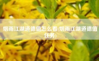 烟雨江湖道德值怎么看(烟雨江湖道德值任务)