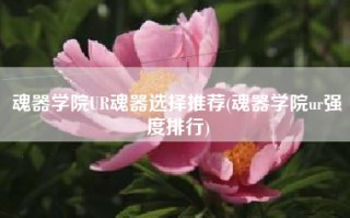 魂器学院UR魂器选择推荐(魂器学院ur强度排行)