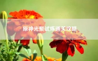 原神光聚试炼通关攻略