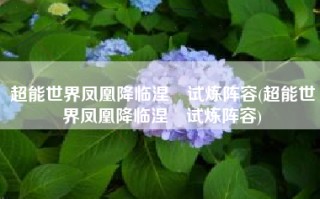 超能世界凤凰降临涅槃试炼阵容(超能世界凤凰降临涅槃试炼阵容)