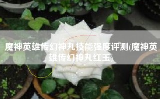 魔神英雄传幻神丸技能强度评测(魔神英雄传幻神丸红玉)