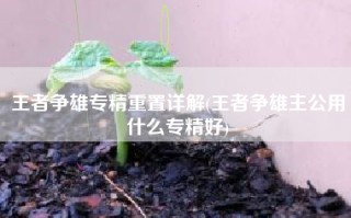 王者争雄专精重置详解(王者争雄主公用什么专精好)