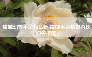 魔域幻兽手游怎么玩(魔域手游精灵游侠幻兽搭配)