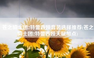 苍之骑士团2特蕾西娅套装选择推荐(苍之骑士团2特蕾西娅天赋加点)