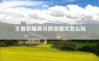 王者荣耀高分段没铭文怎么玩