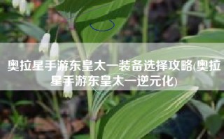 奥拉星手游东皇太一装备选择攻略(奥拉星手游东皇太一逆元化)