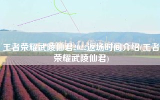 王者荣耀武陵仙君2022返场时间介绍(王者荣耀武陵仙君)