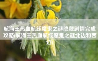 航海王热血航线魔鬼之谜隐藏剧情完成攻略(航海王热血航线魔鬼之谜北边和西边)
