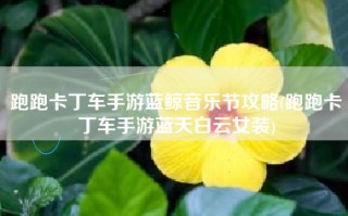 跑跑卡丁车手游蓝鲸音乐节攻略(跑跑卡丁车手游蓝天白云女装)