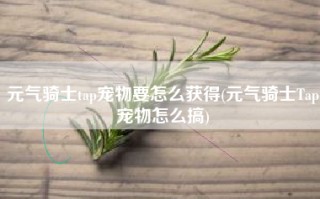 元气骑士tap宠物要怎么获得(元气骑士Tap宠物怎么搞)
