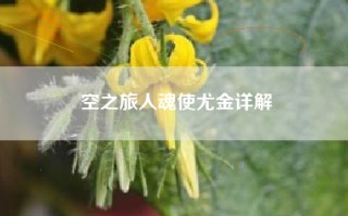 空之旅人魂使尤金详解