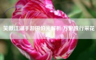 笑傲江湖手游田伯光解析(万里独行采花盗)