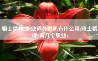 骑士精神2职业道具喇叭有什么用(骑士精神2有几个职业)