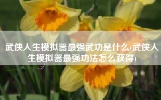 武侠人生模拟器最强武功是什么(武侠人生模拟器最强功法怎么获得)