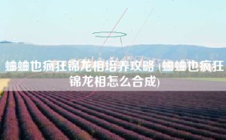 蛐蛐也疯狂锦龙相培养攻略 (蛐蛐也疯狂锦龙相怎么合成)