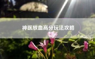 神医放血高分玩法攻略