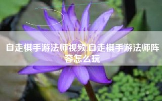 自走棋手游法师视频,自走棋手游法师阵容怎么玩