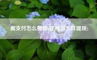 翼支付怎么提现(花呗怎么样提现)