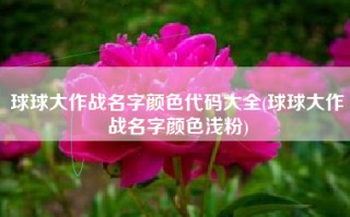 球球大作战名字颜色代码大全(球球大作战名字颜色浅粉)