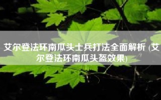 艾尔登法环南瓜头士兵打法全面解析 (艾尔登法环南瓜头盔效果)