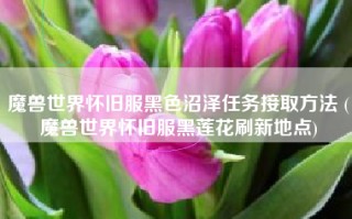 魔兽世界怀旧服黑色沼泽任务接取方法 (魔兽世界怀旧服黑莲花刷新地点)