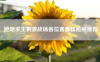 绝地求生刺激战场各位置最佳枪械推荐