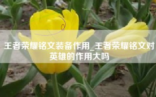 王者荣耀铭文装备作用_王者荣耀铭文对英雄的作用大吗