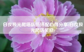 白夜极光爬塔队伍搭配心得分享(白夜极光爬塔奖励)
