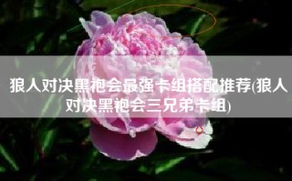 狼人对决黑袍会最强卡组搭配推荐(狼人对决黑袍会三兄弟卡组)