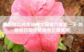 阴阳师百闻牌秘闻之间第六章第一关(阴阳师百闻牌秘闻卷在哪里用)
