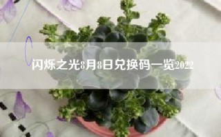 闪烁之光8月8日兑换码一览2022