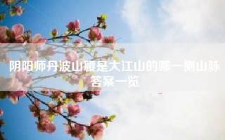 阴阳师丹波山腰是大江山的哪一侧山脉答案一览