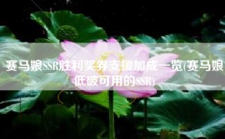 赛马娘SSR胜利奖券支援加成一览(赛马娘低破可用的SSR)