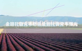 金翅托鲁克韦怒吼金翅托鲁克韦曝光