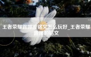 王者荣耀露娜没铭文怎么玩好_王者荣耀露娜的铭文