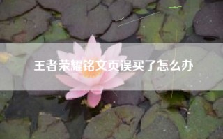 王者荣耀铭文页误买了怎么办