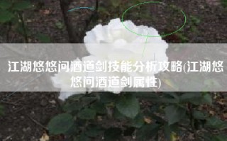 江湖悠悠问酒道剑技能分析攻略(江湖悠悠问酒道剑属性)